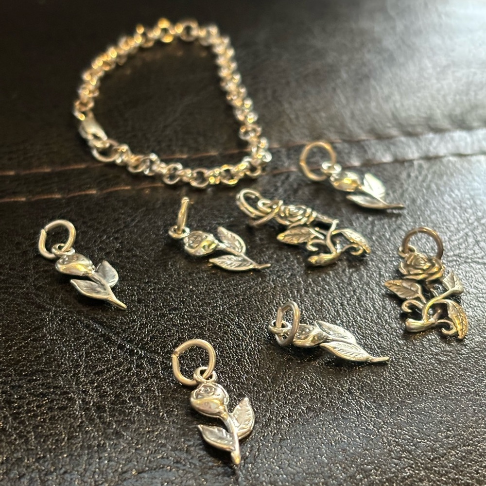 Sterling Silver Charm Bracelet Set